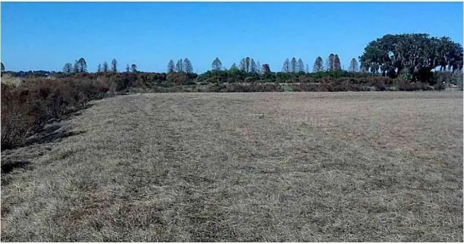 Sherman Oaks, Los Angeles, California 91495, ,Vacant land,For sale,T2592039