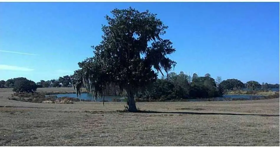 Sherman Oaks, Los Angeles, California 91495, ,Vacant land,For sale,T2592039