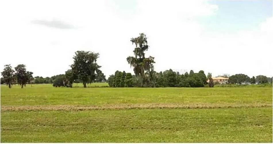 Encino, Los Angeles, California 91426, ,Vacant land,For sale,T2592044