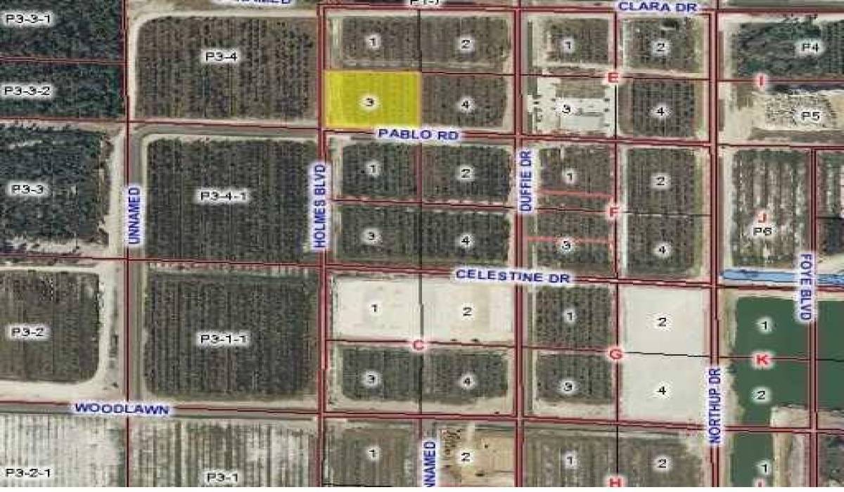 15401 Runnymede St, Van Nuys, Los Angeles, California, United States 91406, ,Vacant land,For sale,Runnymede St,C7005039