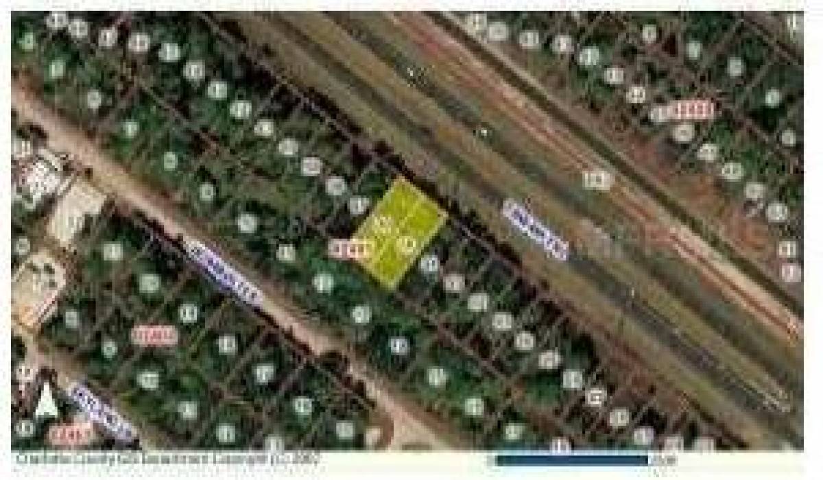 1038 Island Ave, Wilmington, Los Angeles, California 90744, ,Vacant land,For sale,Island Ave,C7029542