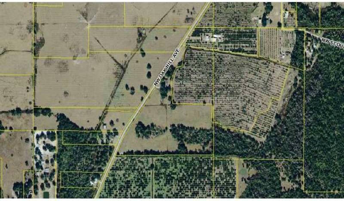 343 W 13th St, San Pedro, Los Angeles, California 90731, ,Vacant land,For sale,W 13th St,C7040509