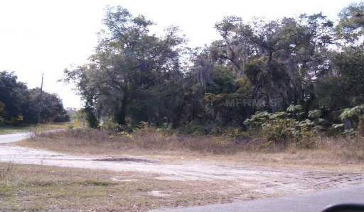 882 Scudder Way, Monterey Park, Los Angeles, California 91754, ,Vacant land,For sale,Scudder Way,G4651197